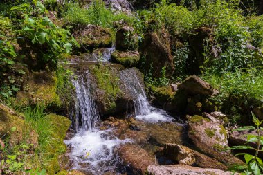 Doğal selvi ormanı, Zappini ormanındaki Fontegreca kasabasından Sava Nehri vadisine kadar uzanır. Çok sağlıklı havası olan turistler için bir tatil yeri..