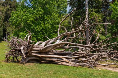 Caserta Kraliyet Sarayı, Caserta 'da yer alan ve tarihsel olarak Sicilya' nın Burbonları 'na ait bir kraliyet sarayıdır..