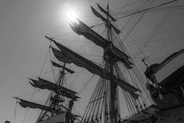 Amerigo Vespucci Sailing Ship Navy Built Training Ship Training Officer — Stock Photo, Image