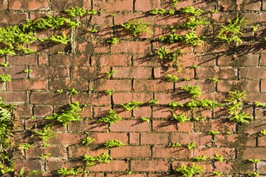 Tuğla moss ile yapıldı.