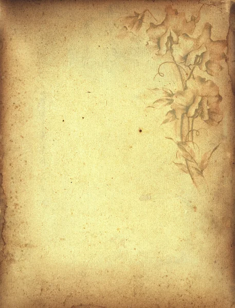 Stained Floral Page — Stock Photo, Image