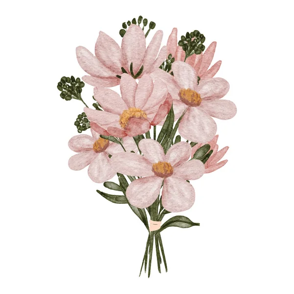 Aquarell Kosmos Blütenblatt Blume Hand Strauß Illustration — Stockvektor