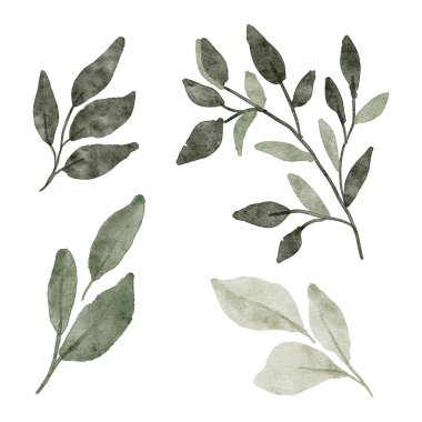 Yaprak yaprağı çiçek suluboya boya koleksiyonu