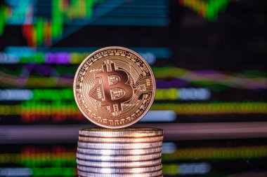 Diğer madeni paraların üzerinde bir bitcoin. 