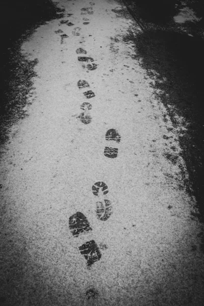 Freshly Fallen Snow Footprints — Foto Stock