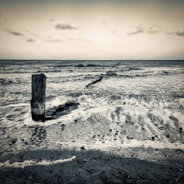 Fırtınalı havada Baltık Denizi sahillerinde birçok dalga vardır.