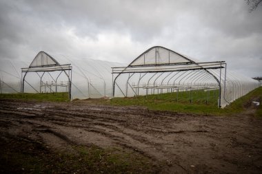 Birçok büyük folyo serası kışın boştur.