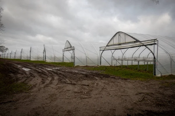 Many Large Foil Greenhouses Empty Winter — Stock Photo, Image