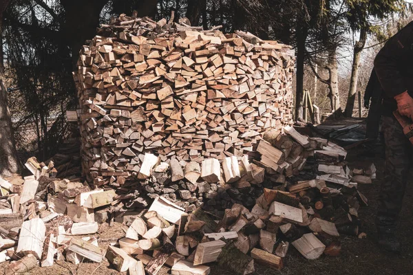 Madera Picada Apila Gran Cilindro Redondo — Foto de Stock