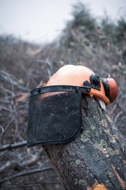Vizörlü ve işitme korumalı bir şapka ağaç gövdesine takılmış.
