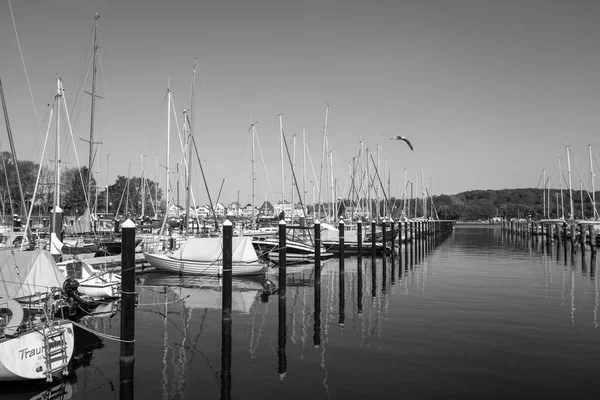 Many Sailing Boats Moored Marina Luebeck Travemuende — стокове фото