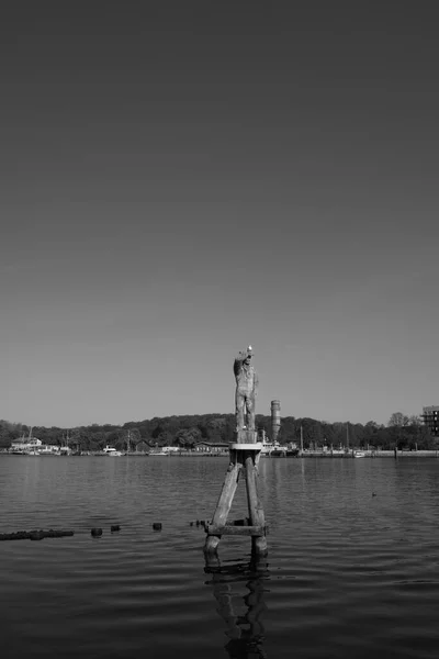 Seagull Wooden Statue Harbor Travemuende — Stockfoto