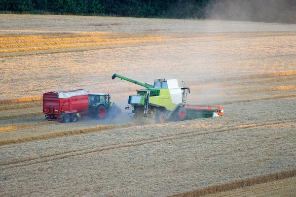Field Grain Harvested Combine Harvester — Zdjęcie stockowe