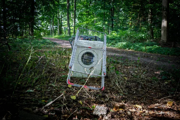 Washing Machine Clothes Horse Were Illegally Disposed Forest — Stock Photo, Image