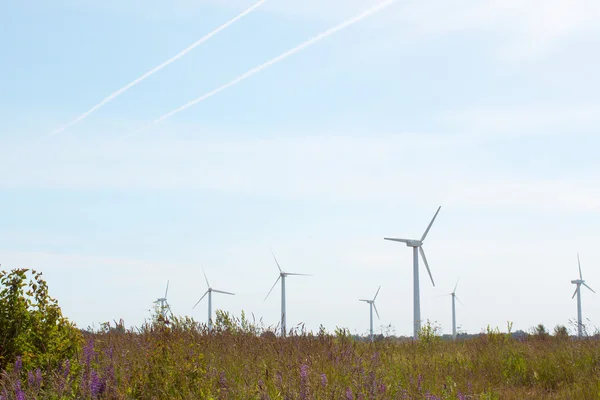 Turbinas eólicas en un campo —  Fotos de Stock