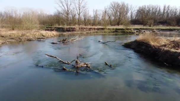 Tembakan udara rendah dari sungai dangkal — Stok Video