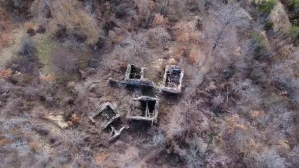 Revelación aérea disparo de ruinas en un bosque — Vídeo de stock