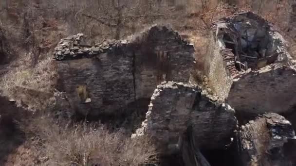 Voando sobre casas de pedra abandonadas em uma floresta — Vídeo de Stock