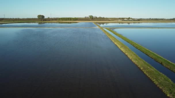 Top aerial shot over flooded rice field — Vídeo de Stock
