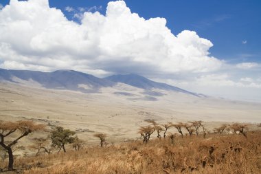 Ngorongoro Milli Parkı