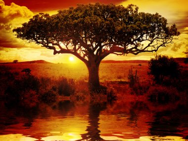 Africa Sunset clipart