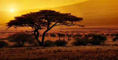 Afrika günbatımı