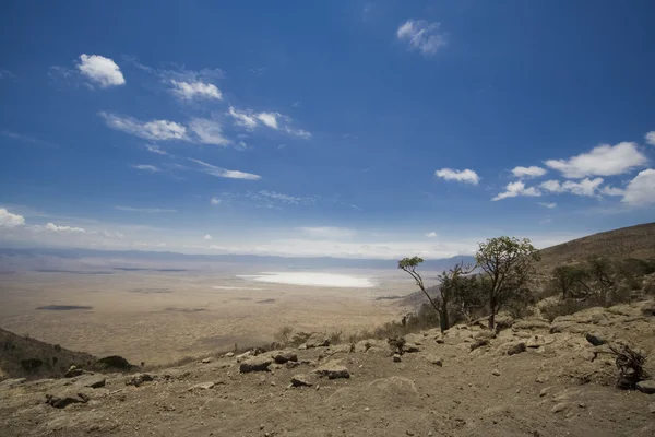 Parco nazionale di Ngorongoro — Foto Stock