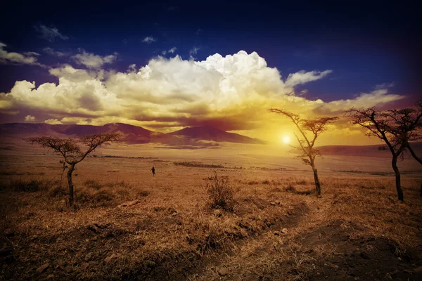 Parco nazionale di Ngorongoro al tramonto — Foto Stock