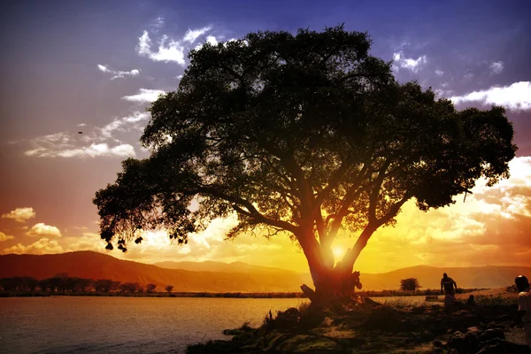 Africa Sunset — Stock Photo, Image