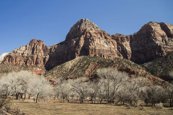 Den amerikanske ørkenen Utah – stockfoto