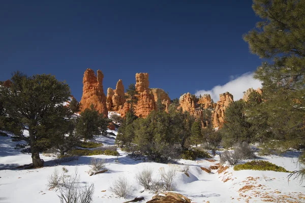 Bryce Kanyonu Ulusal Parkı — Stok fotoğraf