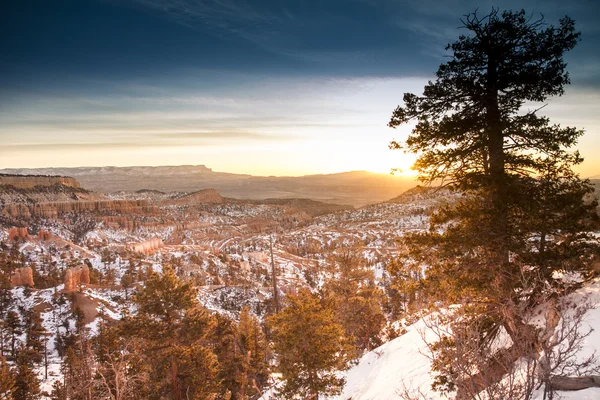 Bryce Kanyonu Ulusal Parkı — Stok fotoğraf