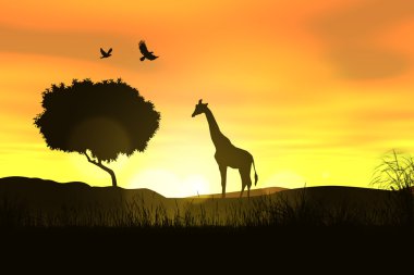 Afrika Savannah günbatımı