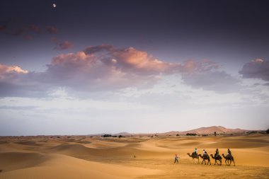 Fas çöl dunes