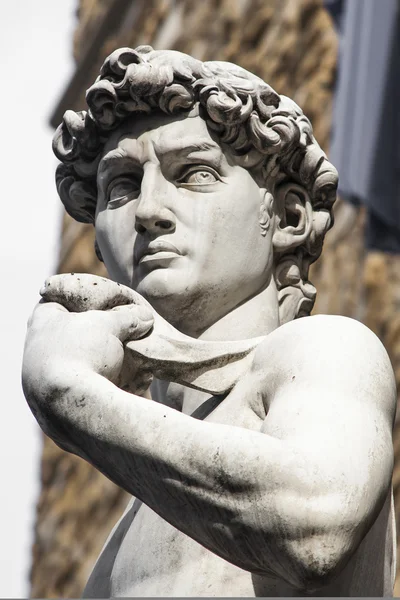 David di michelangelo — Stockfoto