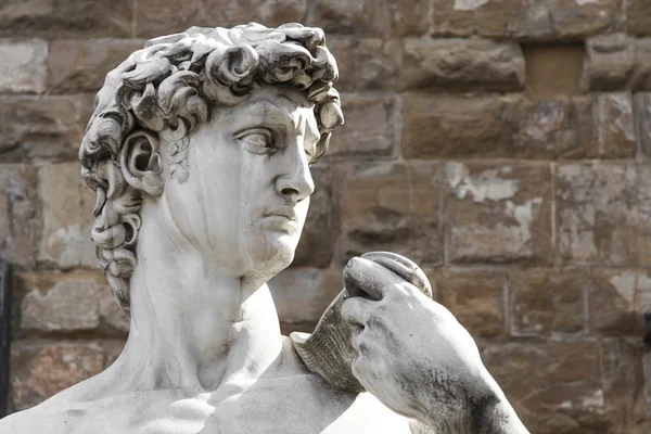 David di Michelangelo — Foto Stock