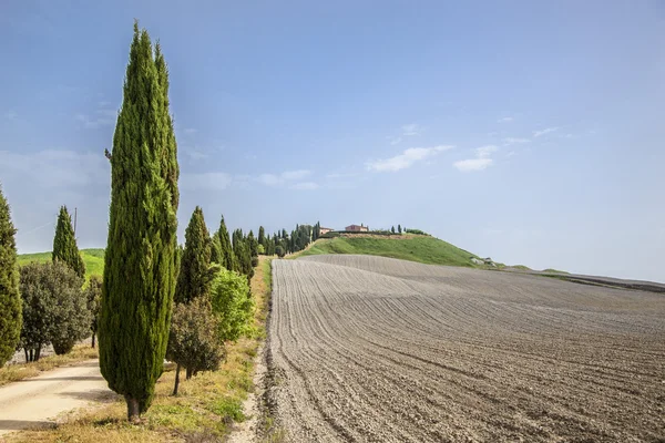 Primavera il panorama delle colline toscane — Stockfoto