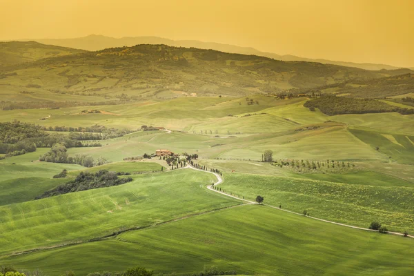 Zobacz w val d'orcia Zdjęcie Stockowe