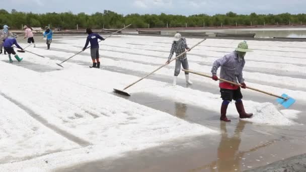 Thai salt workers — Stock Video