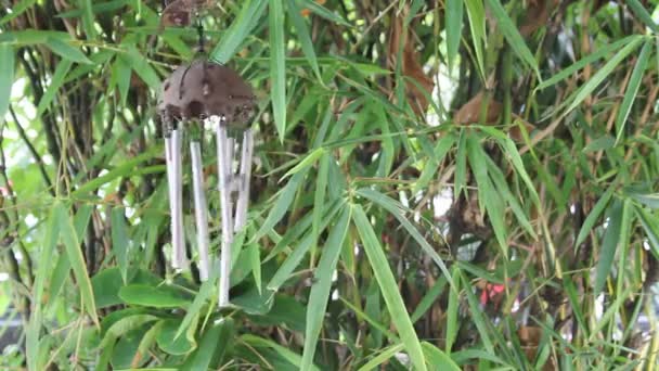 Sonido de móvil en el jardín — Vídeos de Stock