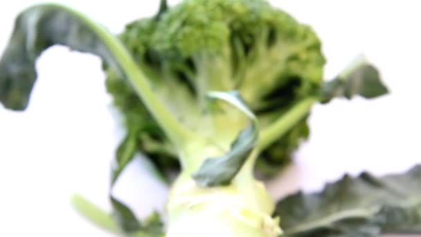 Close up broccoli on white background — Stock Video