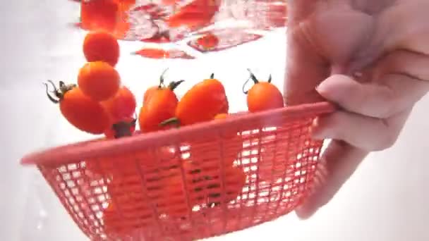 Closeup washing small potatoes with basket underwater — Stock Video