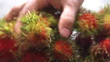 Çamaşır rambutans yakın çekim