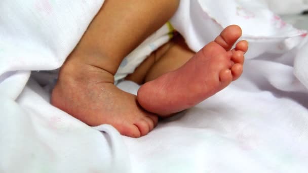 Primer plano de los pies del bebé recién nacido lindo, una semana de edad — Vídeos de Stock