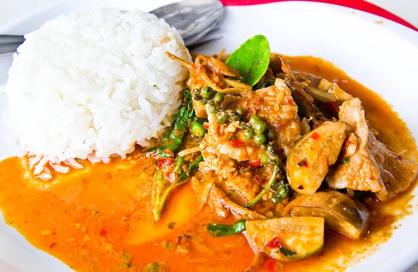 Getrocknetes rotes Kokos-Curry mit Schweinefleisch, thailändischen Lebensmitteln Stockbild