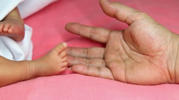 Hand der Frau berührt neugeborene Babyfüße — Stockvideo