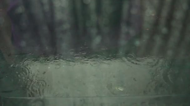 Raining outside of window — Stock Video