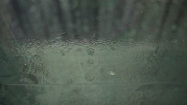 Llueve fuera de la ventana — Vídeo de stock
