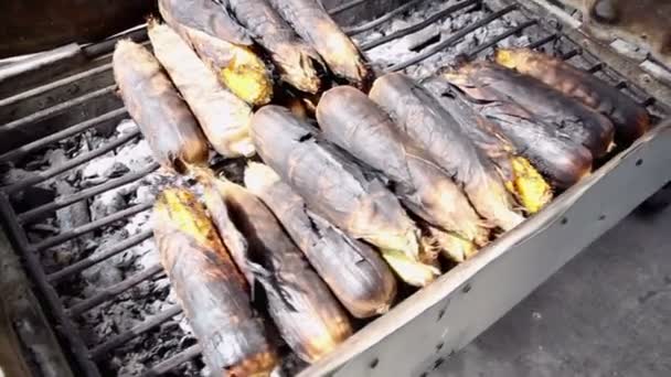 Grilled fresh corn on street market in Bangkok — Stock Video