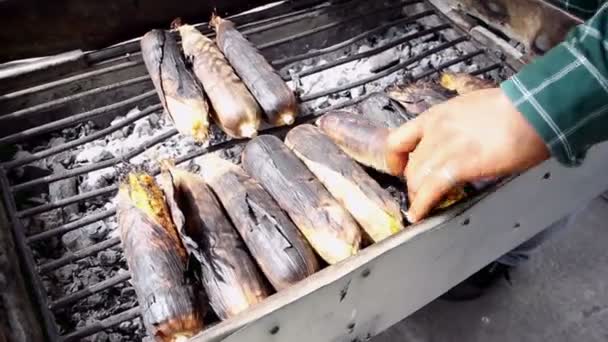 Gegrilde verse maïs op straat markt in bangkok — Stockvideo